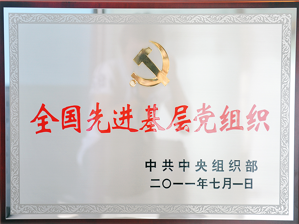 2011年7月，中共湖北918博天堂官方网站集团委员会被中共中央组织部授予“全国先进基层党组织”